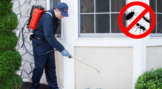 Niğde Tahtakurusu İlaçlama böcek ilaçlama ve haşere kontrolü — ilaclama-tr.com